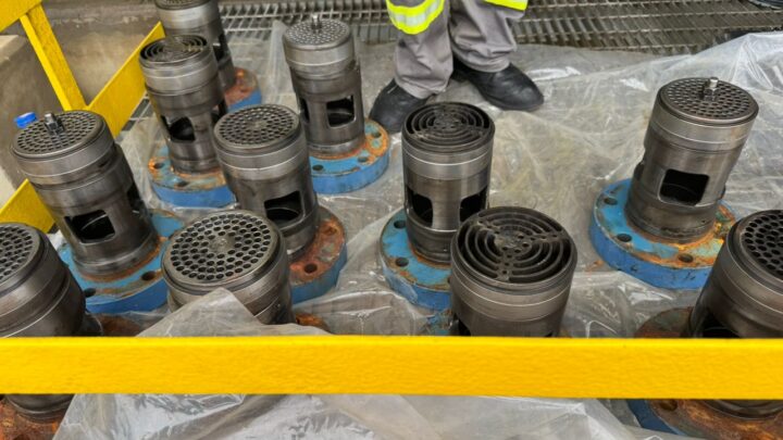 WhatsApp Image 2025-08-19 at 1.50.47 PM